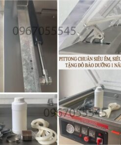 PITTONG HIEU 1 e1731073605662