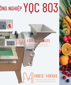 Máy thái rau củ quả YQC 803