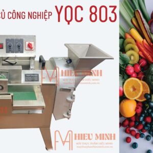 Máy thái rau củ quả YQC 803