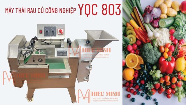 Máy thái rau củ quả YQC 803