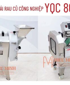 Máy thái rau củ quả YQC 803